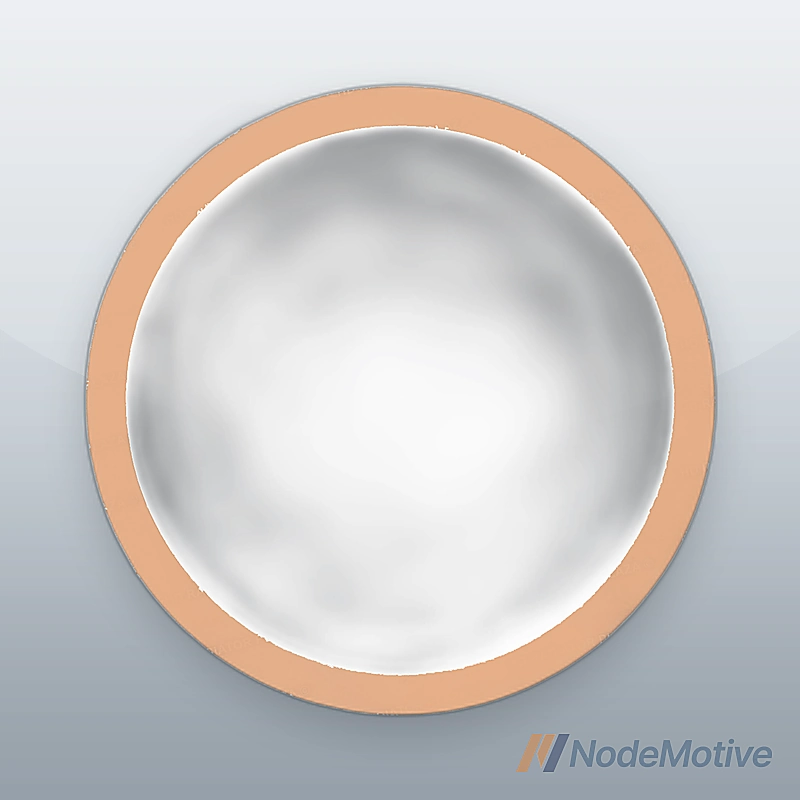Diesel Particulate Filter DPF Gasket For Navistar International New